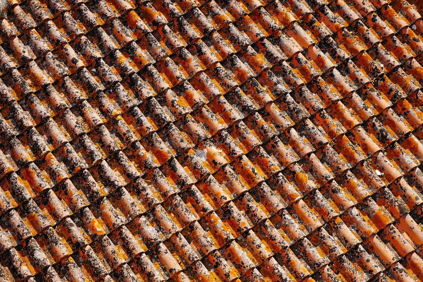 Rows of weathered terracotta barrel tiles on a roof, a Wikimedia Commons photograph in the encyclopedia of Mike Kobeissi