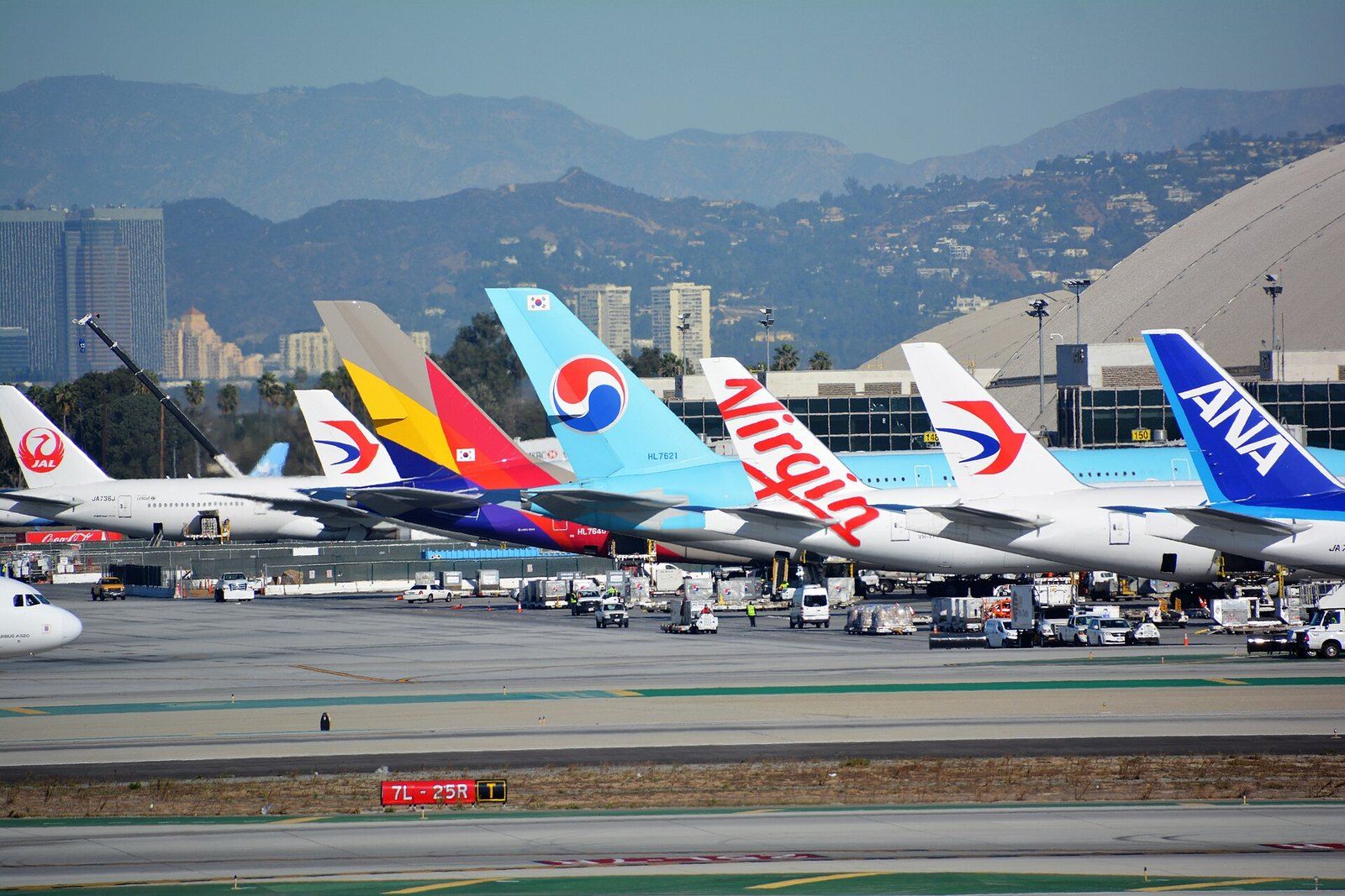 Tails of Asian and European airliners at the Tom Bradley International Terminal at LAX wit, a Wikimedia Commons photograph in the encyclopedia of Mike Kobeissi
