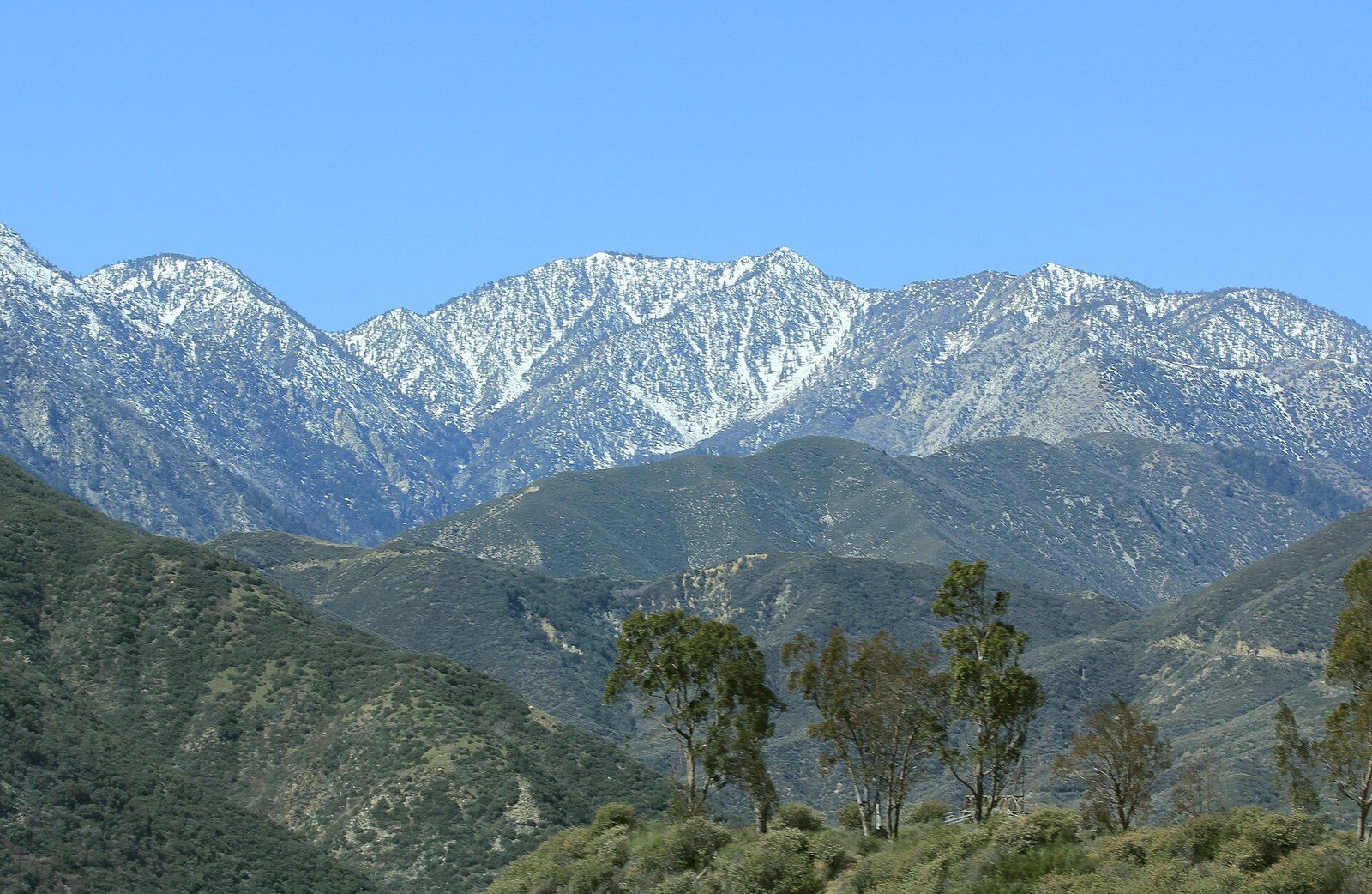 Snow capped peaks of the San Gabriel Mountains above green foothill ridges, a Wikimedia Commons photograph in the encyclopedia of Mike Kobeissi